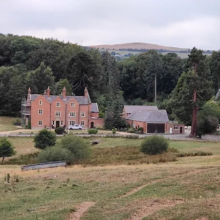 The Stables At Eriviat Hall Henllan  Exterior photo