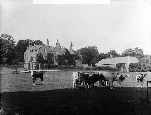 Holiday home The Stables At Eriviat Hall